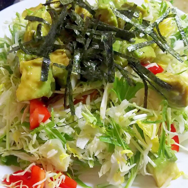 アボカドと彩り野菜のサラダ